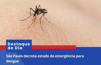 São Paulo Decreta Estado De Emergência De Dengue